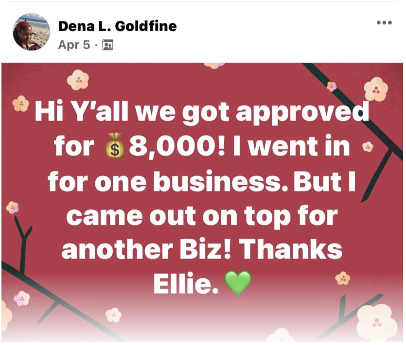 Dena L. Goldfine: approved for $8,000 for one business and more for another